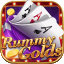 11 game rummy