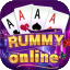 rummy ludo game icon