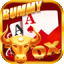 rummy wealth 777